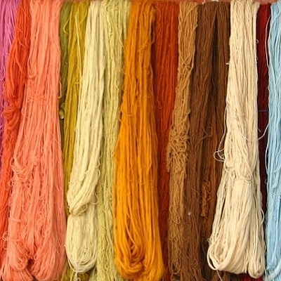 Skeins of coloured wool
