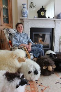 Around the home fleece footstalls