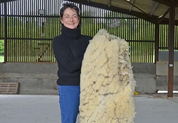 Why wool Jessica, owner of Southdown duvets holding Southdown fleece